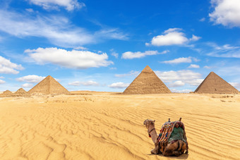 的<strong>金字</strong>塔吉萨和骆驼的沙子埃及的<strong>金字</strong>塔吉萨和骆驼的沙子埃及