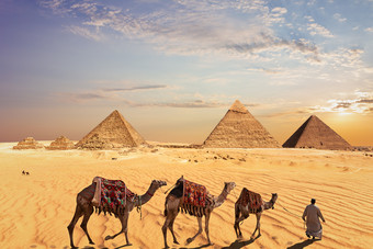 骆驼商队附近的伟大的金字塔吉萨埃及骆驼商队附近的伟大的金字塔吉萨埃及