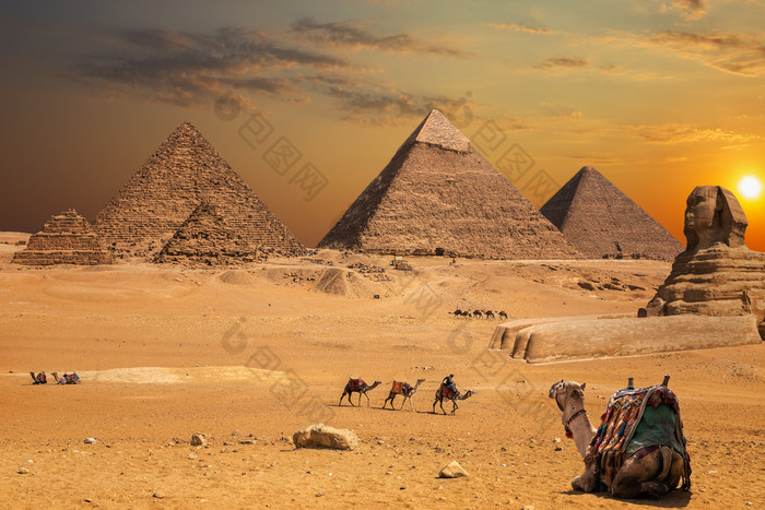 美丽的日落视图的斯芬克斯和的金字塔吉萨沙漠风景与骆驼美丽的日落视图的斯芬克斯和的金字塔吉萨沙漠风景与骆驼