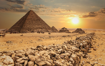 的金字塔门考雷和的三个金字塔同伴的骆驼的沙漠吉萨埃及的金字塔门考雷和的三个金字塔同伴的骆驼的沙漠吉萨埃及