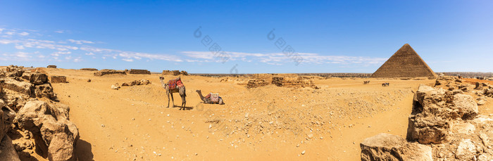 吉萨沙漠全景与骆驼和金字塔埃及吉萨沙漠全景与骆驼和金字塔埃及