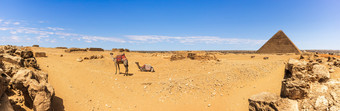 吉萨沙漠全景与骆驼和<strong>金字</strong>塔埃及吉萨沙漠全景与骆驼和<strong>金字</strong>塔埃及