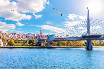 盐土植物<strong>地铁</strong>桥和加拉塔塔的背景视图从的金角伊斯坦布尔火鸡盐土植物<strong>地铁</strong>桥和加拉塔塔的背景视图从的金角伊斯坦布尔火鸡