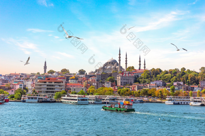 埃米诺努码头和苏莱曼尼耶清真寺伊斯坦布尔火鸡埃米诺努码头和苏莱曼尼耶清真寺伊斯坦布尔火鸡