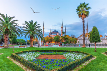 的蓝色的清真寺和的花床上的苏丹埃米公园伊斯坦布尔火鸡的蓝色的清真寺和的花床上的苏丹埃米公园伊斯坦布尔火鸡