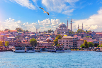 视图的埃米诺努区和的苏莱曼尼耶清真寺从的横跨博斯普鲁斯海峡伊斯坦布尔火鸡视图的埃米诺努区和的苏莱曼尼耶清真寺从的横跨博斯普鲁斯海峡伊斯坦布尔火鸡