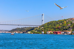 海鸥和的法蒂赫苏丹mehmet桥附近的亚洲一边伊斯坦布尔