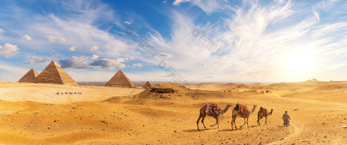 金字塔埃及和贝都因人与骆驼商队日落全景吉萨金字塔埃及和贝都因人与骆驼商队日落全景吉萨
