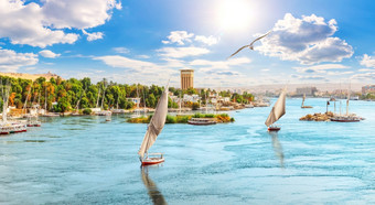 美丽的尼罗河全景与帆船和海鸥<strong>阿斯旺</strong>埃及美丽的尼罗河全景与帆船和海鸥<strong>阿斯旺</strong>埃及