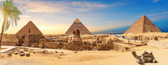 埃及金字塔和斯芬克斯全景后面的棕榈与骆驼说谎开罗吉萨