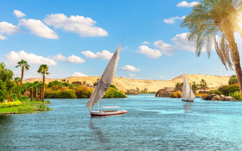传统的视图阿斯旺的帆船的尼罗河<strong>后面</strong>的棕榈埃及非洲传统的视图阿斯旺的帆船的尼罗河<strong>后面</strong>的棕榈埃及非洲