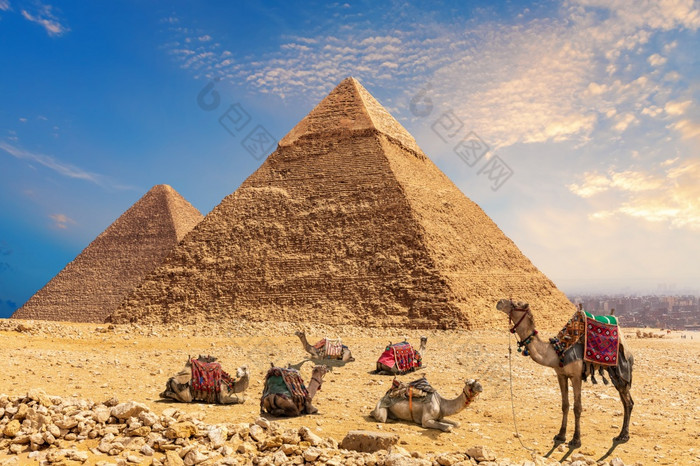 阿梅尔商队休息的沙漠的金字塔chephren和基奥普斯埃及吉萨阿梅尔商队休息的沙漠的金字塔chephren和基奥普斯埃及吉萨