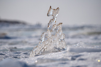 突发奇想自然特写镜头的半透明的冰形成覆盖与沙子海滩曼加尔萨拉里加拉脱维亚的开始3月水平摄影图像与非常浅景深