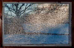 视图树通过磨砂窗口放与冰水晶模式和阳光软焦点窗口