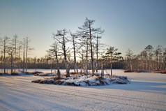 美丽的雪和冻书湖与小绿树环绕的岛屿基斯的冷冬天太阳和使长阴影的雪场景高沼地拉脱维亚