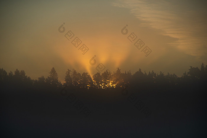 黄昏的射线多雾的早....未来通过树金日出在的森林大气光学现象软焦点