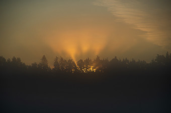 <strong>黄</strong>昏的射线多雾的早....未来通过树金日出在的森林<strong>大气</strong>光学现象软焦点