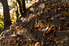 秋天叶子的灰色的岩石位于利沃夫乌克兰