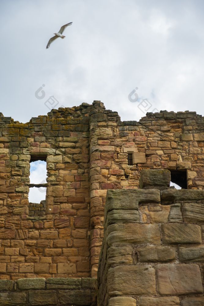 金苍蝇以上的废墟部分的中世纪的泰恩茅斯修道院和城堡的曼联王国