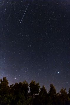 下降星星在的森林的troodos山卡科佩特里亚村塞浦路斯