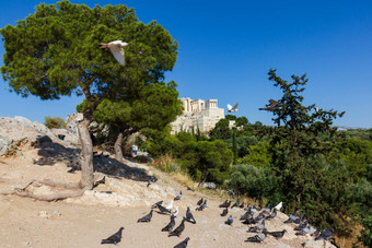 雅典希腊6月风景优美的视图的岩石的卫城雅典希腊与鸽子的前景