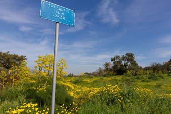 蓝色的街标志对黄色的和绿色<strong>春天字</strong>段和天空diorios村的岛塞浦路斯