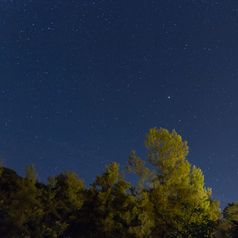 布满星星的晚上在的森林的troodos山照片采取在卡科佩特里亚村塞浦路斯