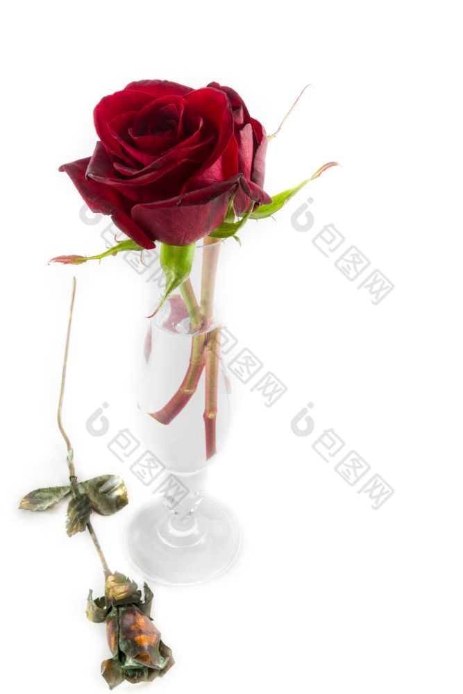 两个玫瑰花瓶和金属玫瑰白色背景情人节一天作文