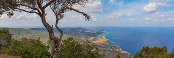 全景空中视图海湾和的蓝色的环礁湖与绿松石水的地中海海见过从阿佛洛狄忒徒步旅行小道阿卡玛斯半岛塞浦路斯