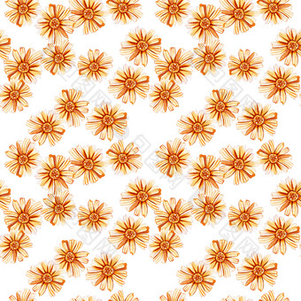 无缝的模式与黄色的橙色雏菊水彩野花白色背景场雏菊设计为自然化妆品Herbal茶织物无缝的模式与黄色的橙色雏菊
