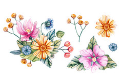 水彩插图与花束野花为婚礼花卡与粉红色的锦葵花黄色的洋甘菊黄色的艾菊和蓝色的黛西秋天夏天和春天季节水彩插图与花束野花