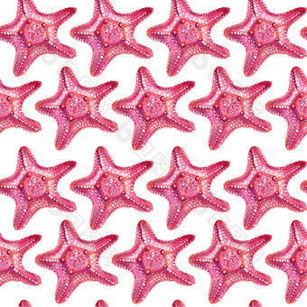 无缝的模式与海星海星画手与彩色的铅笔孤立的粉红色的海星白色背景夏天海概念无缝的模式与海星