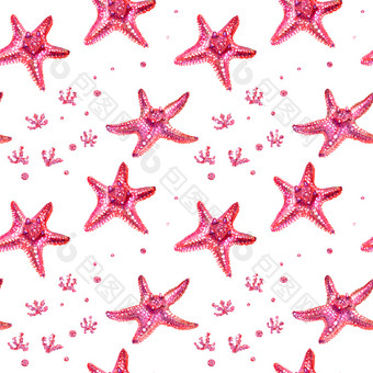 无缝的模式与海星和藻类海星画手与彩色的铅笔孤立的粉红色的海星白色背景夏天海概念无缝的模式与海星和藻类