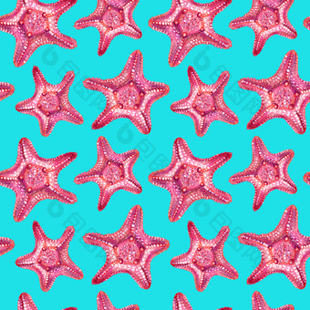 无缝的模式与海星海星画手与彩色的铅笔孤立的粉红色的海星海蓝宝石背景夏天海概念无缝的模式与海星