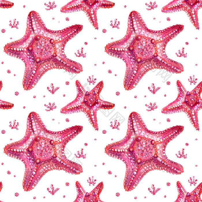 无缝的背景与海星和藻类海星画手孤立的大和小粉红色的海星白色背景夏天海概念无缝的模式与海星和藻类