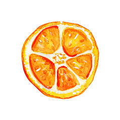 水彩孤立的橙色片热带让人耳目一新异国情调的水果白色背景夏天概念水彩孤立的橙色片