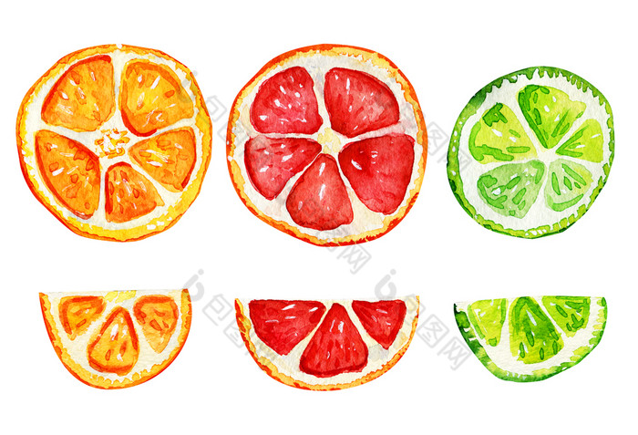 孤立的片橙色葡萄柚和石灰热带让人耳目一新异国情调的夏天概念水彩插图孤立的片橙色葡萄柚和石灰