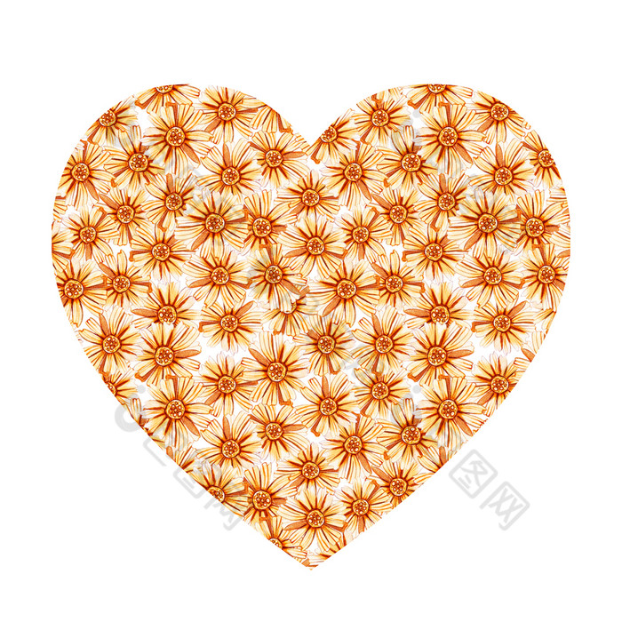 心形状与黄色的橙色雏菊水彩野花白色背景场雏菊设计为自然化妆品Herbal茶织物心形状与黄色的橙色雏菊