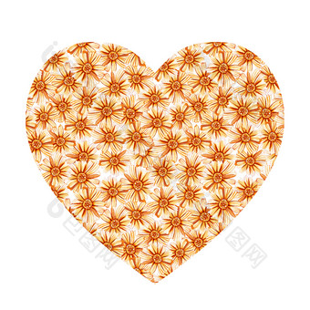 心形状与黄色的橙色雏菊水彩野花白色背景场雏菊设计为自然化妆品Herbal茶织物心形状与黄色的橙色雏菊