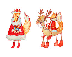 红色的狐狸坐着驯鹿圣诞节字符与盒子系与丝带和孤立的心红色的森林动物温暖的衣服水彩集为的冬天季节集圣诞节字符狐狸和鹿