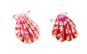 两个粉红色的妈妈。珍珠壳牌扇贝海双壳类扇贝科自然的世界海洋水下居民手画插图孤立的白色背景夏天季节两个粉红色的妈妈。珍珠壳牌扇贝
