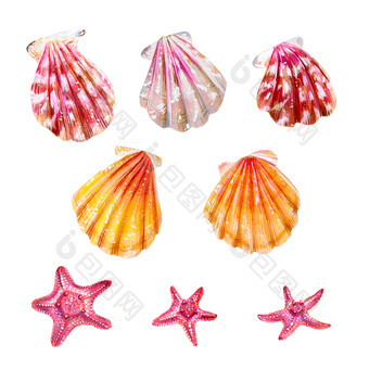 集海贝壳扇贝和海星星粉红色的黄色的和妈妈。珍珠双壳类扇贝科自然的世界海洋水下居民夏天季节手画插图集海贝壳扇贝和海星星