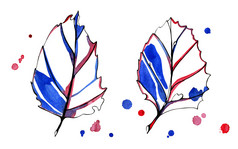 两个水彩程式化的图形秋天叶子手绘与黑色的蓝色的和红色的墨水与早期颜色滴的背景孤立的对象白色背景两个水彩程式化的图形秋天叶子