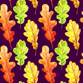 无缝的模式与秋天橡木叶子水彩下降叶子绿色橙色和红色的与色彩斑斓的滴和溅紫色的背景模板为设计无缝的模式与秋天橡木叶子