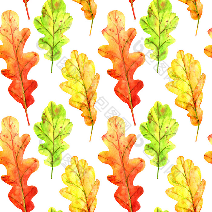 无缝的模式与秋天橡木叶子水彩下降叶子绿色橙色和红色的与色彩斑斓的滴和溅白色背景模板为设计无缝的模式与秋天橡木叶子