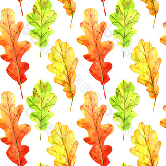 无缝的模式与秋天橡木<strong>叶子</strong>水彩下降<strong>叶子</strong>绿色橙色和红色的与色彩斑斓的滴和溅白色背景<strong>模板</strong>为设计无缝的模式与秋天橡木<strong>叶子</strong>
