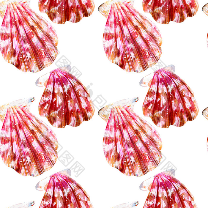 无缝的模式孤立的海贝壳扇贝妈妈。珍珠与粉红色的蛤扇贝科白色背景自然的世界海洋夏天季节无缝的模式孤立的海贝壳扇贝