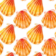无缝的模式黄色的扇贝米色双壳类软体动物扇贝科白色背景自然的世界海洋夏天季节无缝的模式黄色的扇贝