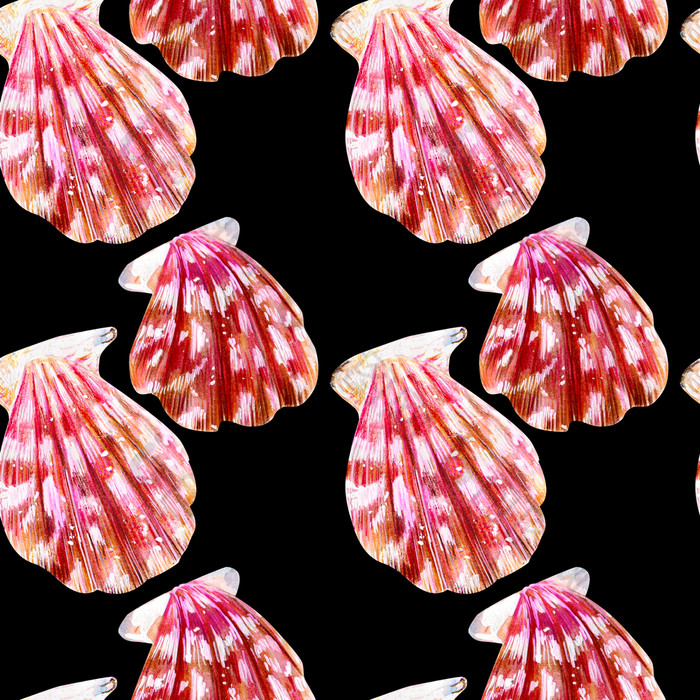 无缝的模式孤立的海贝壳扇贝妈妈。珍珠与粉红色的蛤扇贝科黑色的背景自然的世界海洋夏天季节无缝的模式孤立的海贝壳扇贝
