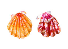 集两个孤立的海扇贝粉红色的珍珠母和黄色的蛤扇贝科自然的世界海洋水下居民夏天季节手画插图集两个孤立的海扇贝